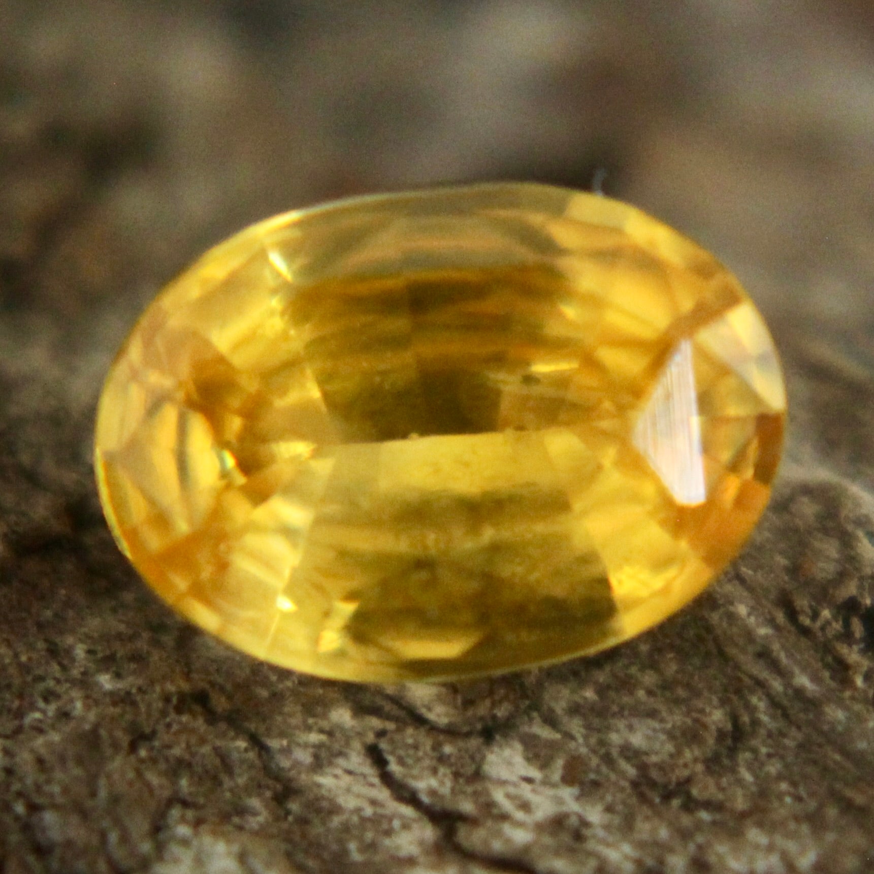 Natural Yellow Sapphire Sapphire Pal Australia