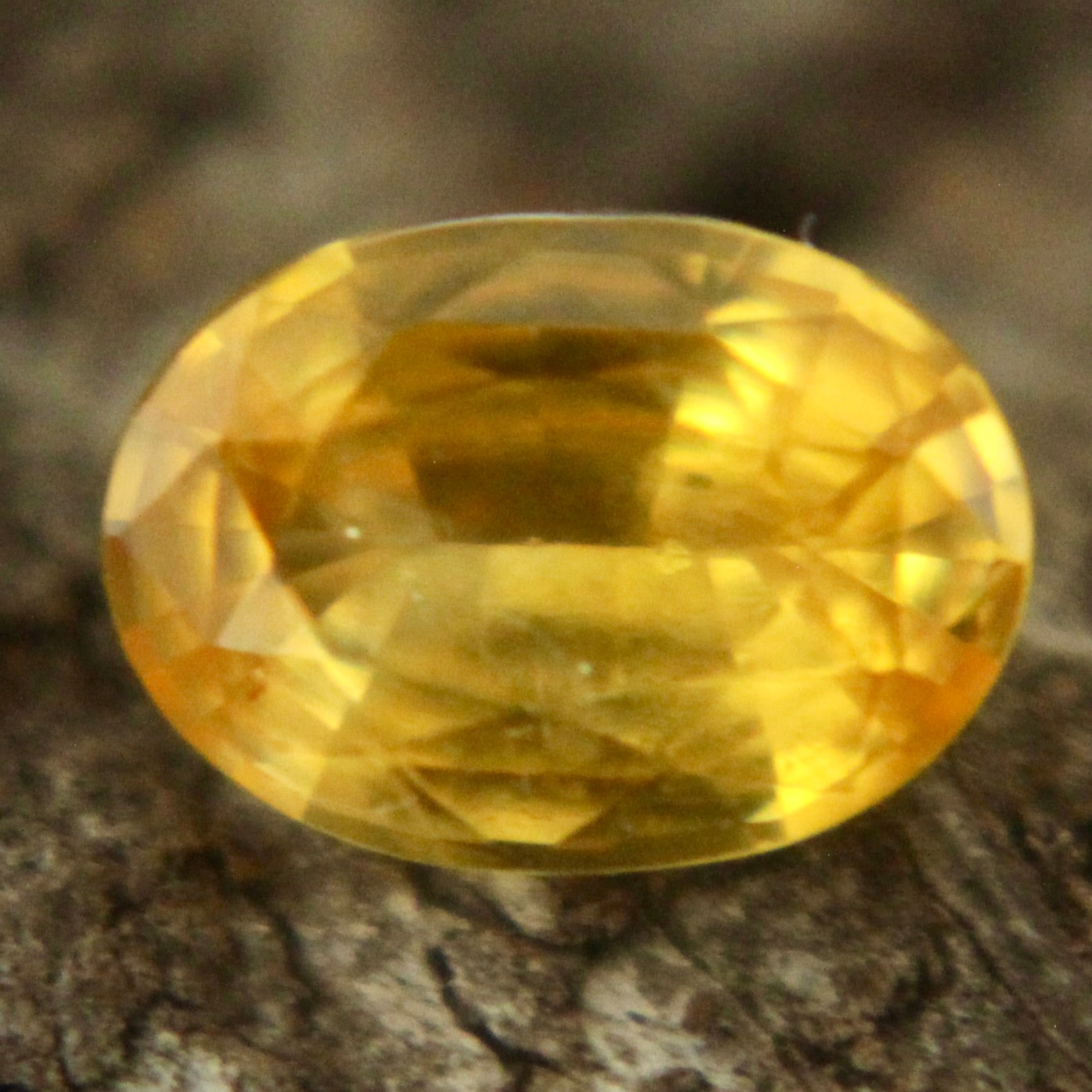 Natural Yellow Sapphire Sapphire Pal Australia