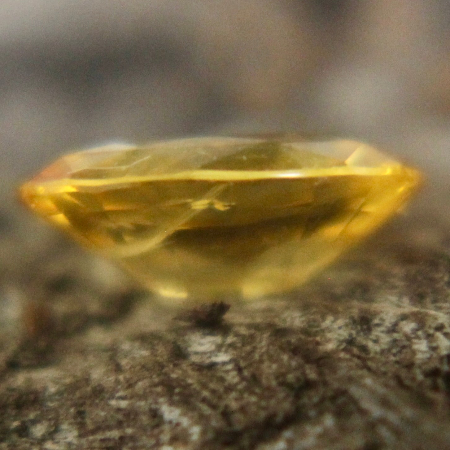 Natural Yellow Sapphire Sapphire Pal Australia