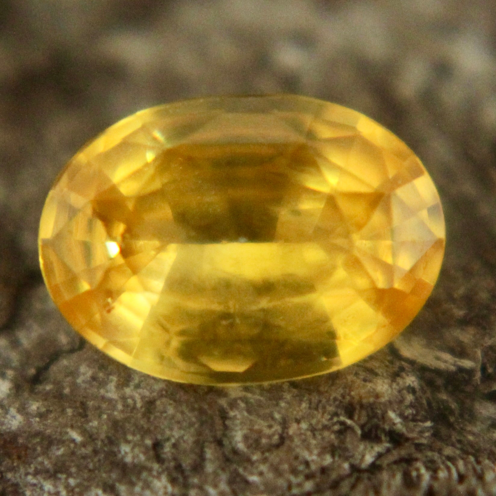 Natural Yellow Sapphire Sapphire Pal Australia