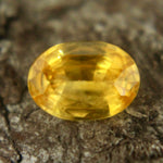 Natural Yellow Sapphire Sapphire Pal Australia