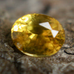 Natural Yellow Sapphire Sapphire Pal Australia