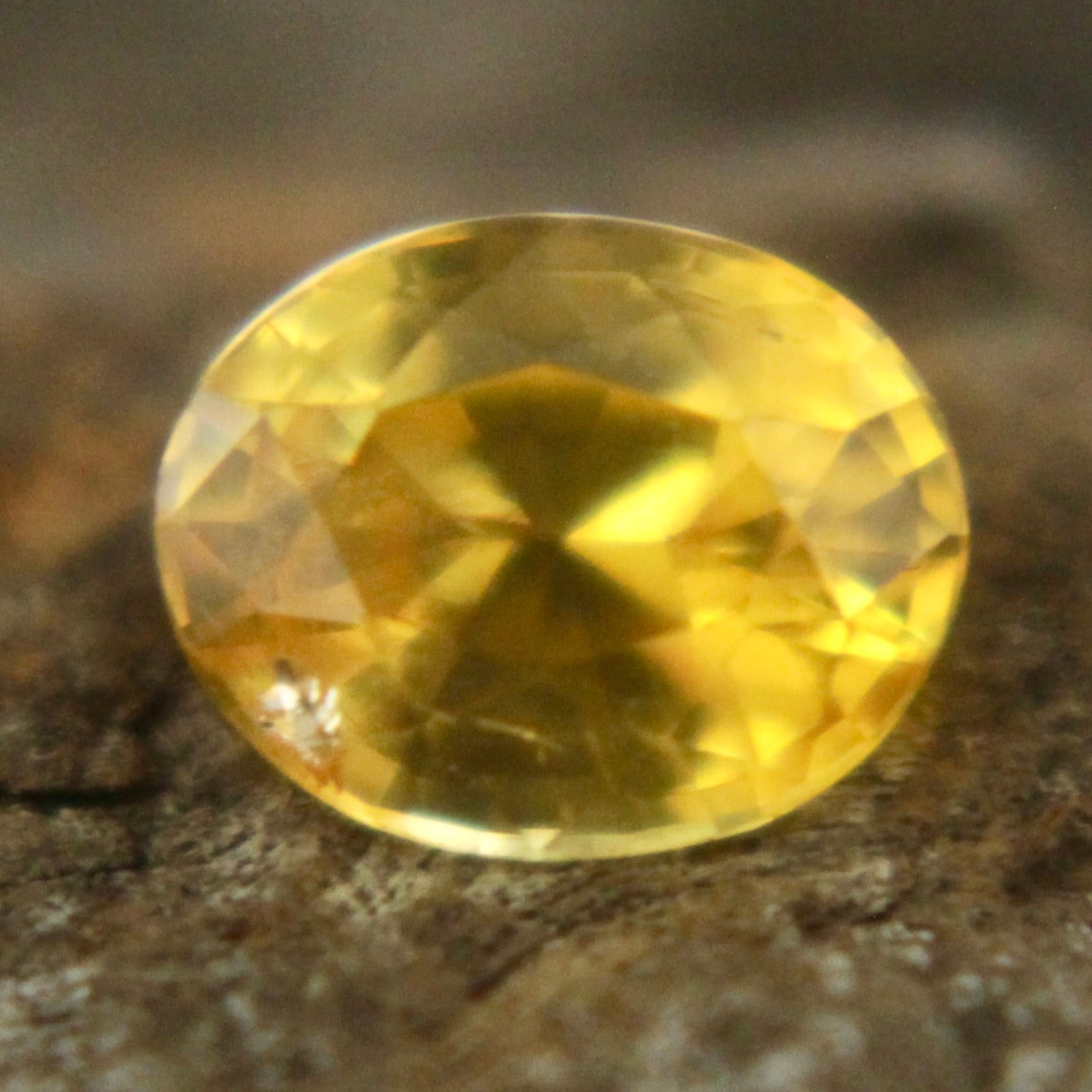 Natural Yellow Sapphire Sapphire Pal Australia