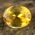 Natural Yellow Sapphire Sapphire Pal Australia