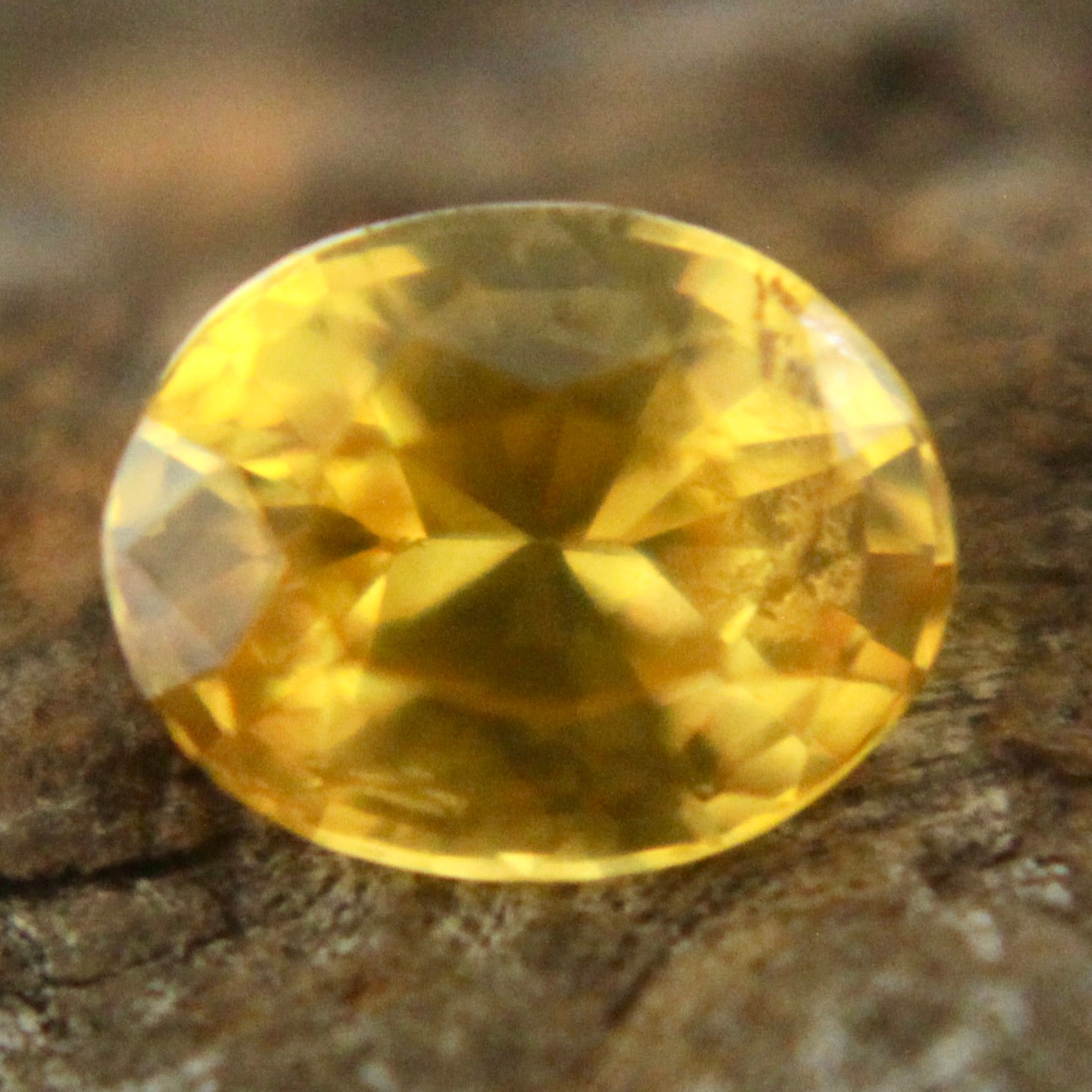 Natural Yellow Sapphire Sapphire Pal Australia