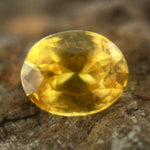 Natural Yellow Sapphire Sapphire Pal Australia