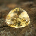 Natural Yellow Sapphire Sapphire Pal Australia