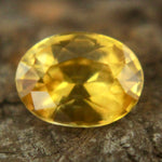 Natural Yellow Sapphire Sapphire Pal Australia