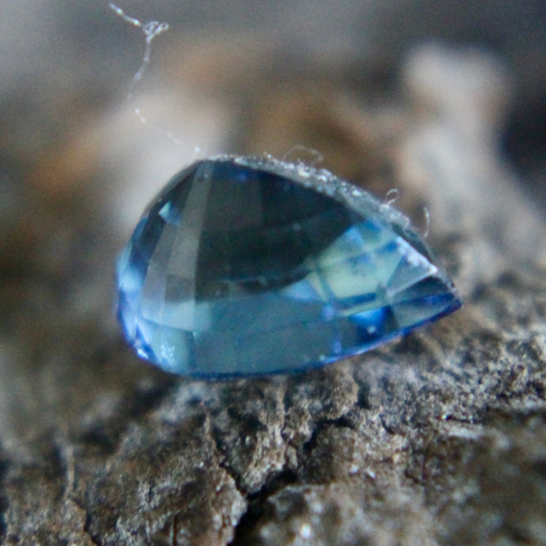 Natural Greenish Blue Sapphire Sapphire Pal Australia