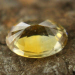 Natural Yellow Sapphire Sapphire Pal Australia