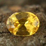 Natural Yellow Sapphire Sapphire Pal Australia