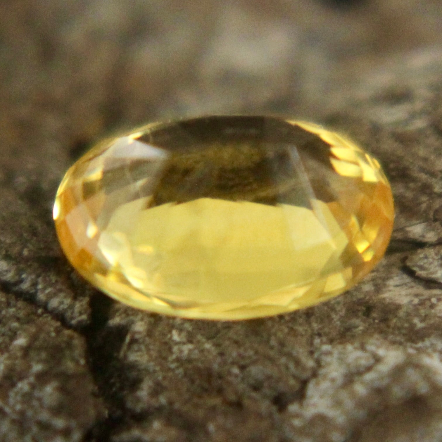 Natural Yellow Sapphire Sapphire Pal Australia