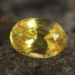 Natural Yellow Sapphire Sapphire Pal Australia