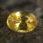 Natural Yellow Sapphire Sapphire Pal Australia