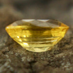 Natural Yellow Sapphire Sapphire Pal Australia