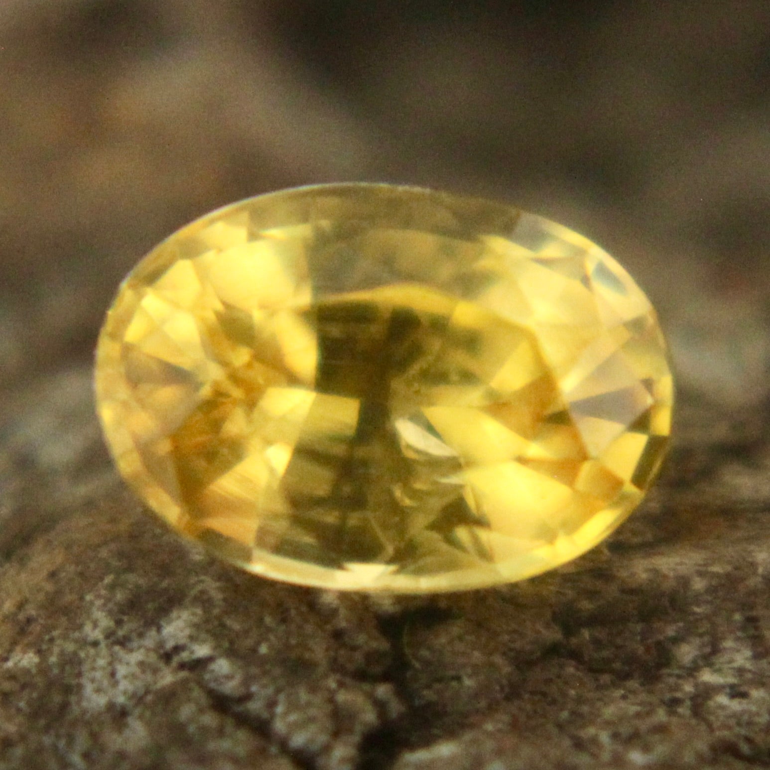 Natural Yellow Sapphire Sapphire Pal Australia