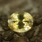 Natural Yellow Sapphire Sapphire Pal Australia