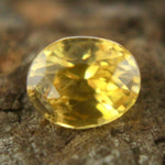 Natural Yellow Sapphire Sapphire Pal Australia