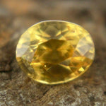 Natural Yellow Sapphire Sapphire Pal Australia