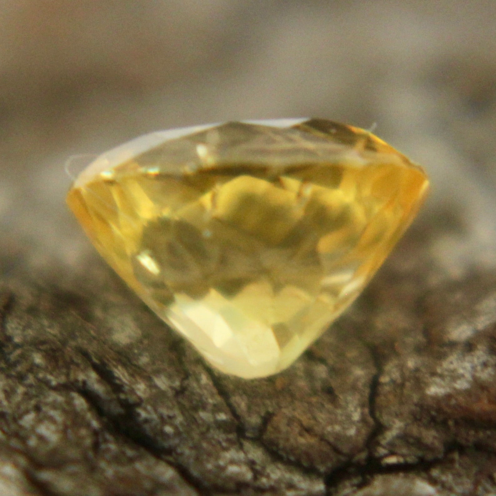 Natural Yellow Sapphire Sapphire Pal Australia