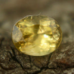 Natural Yellow Sapphire Sapphire Pal Australia