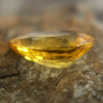 Natural Yellow Sapphire Sapphire Pal Australia