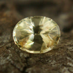 Natural Yellow Sapphire Sapphire Pal Australia