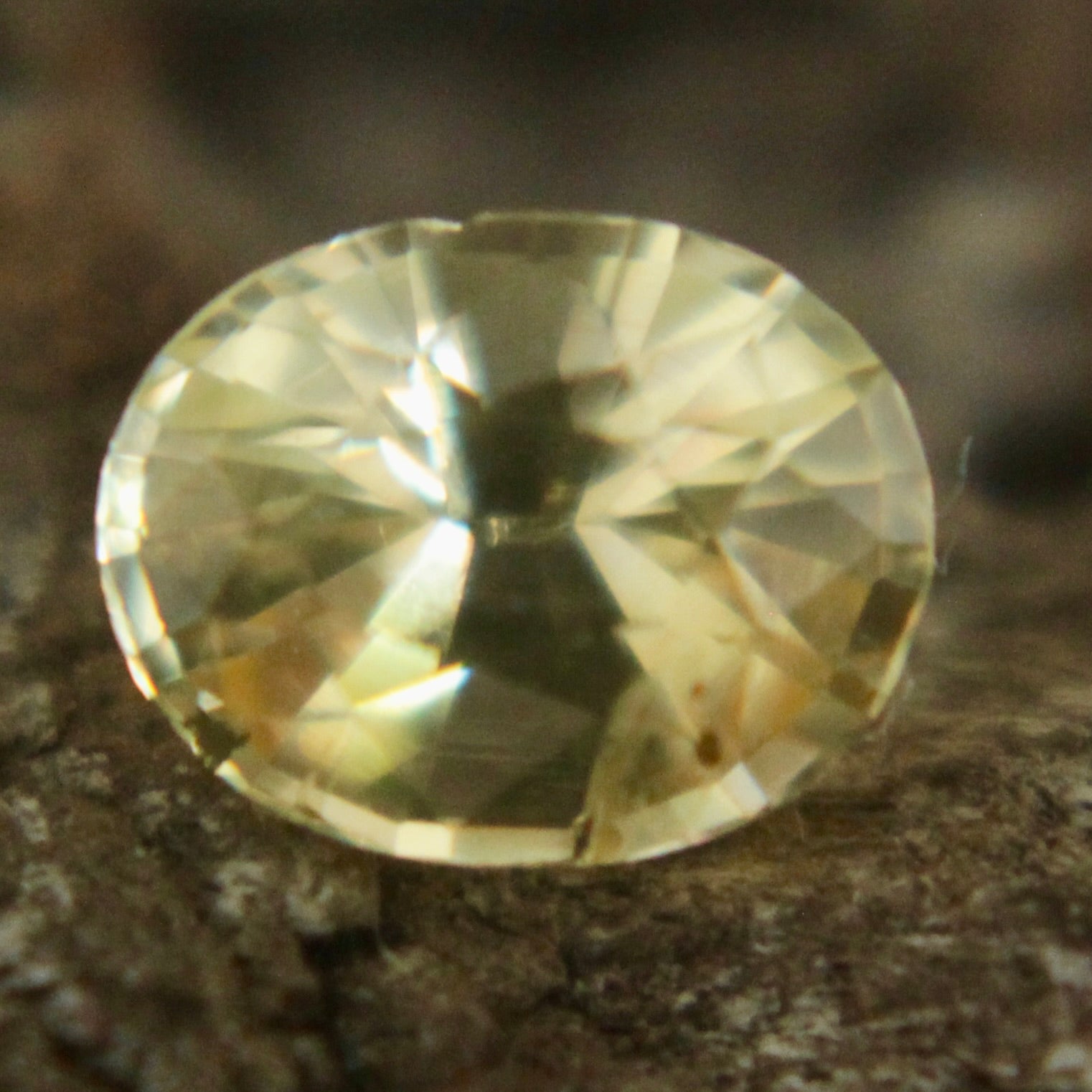 Natural Yellow Sapphire Sapphire Pal Australia