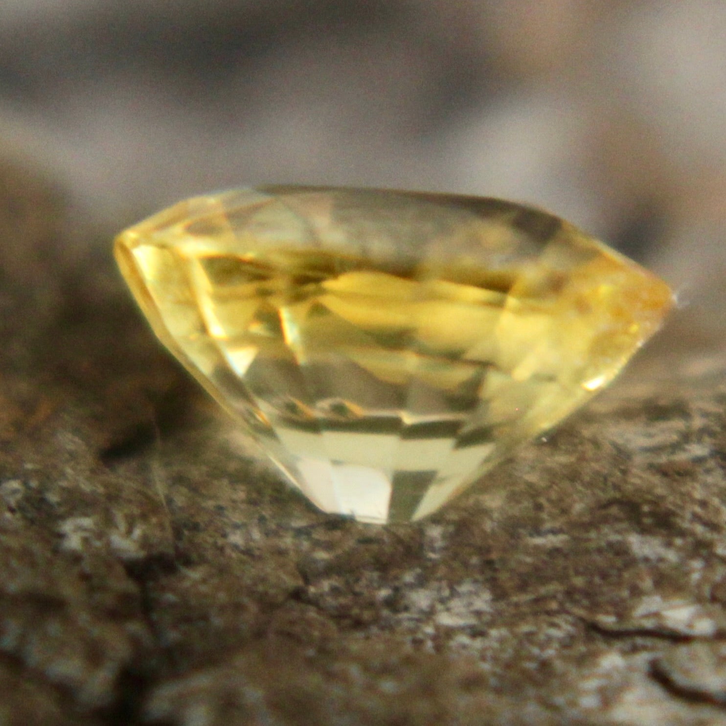 Natural Yellow Sapphire Sapphire Pal Australia