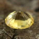 Natural Yellow Sapphire Sapphire Pal Australia