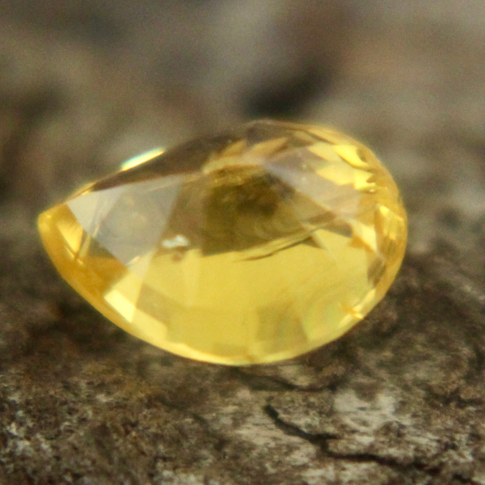 Natural Yellow Sapphire Sapphire Pal Australia