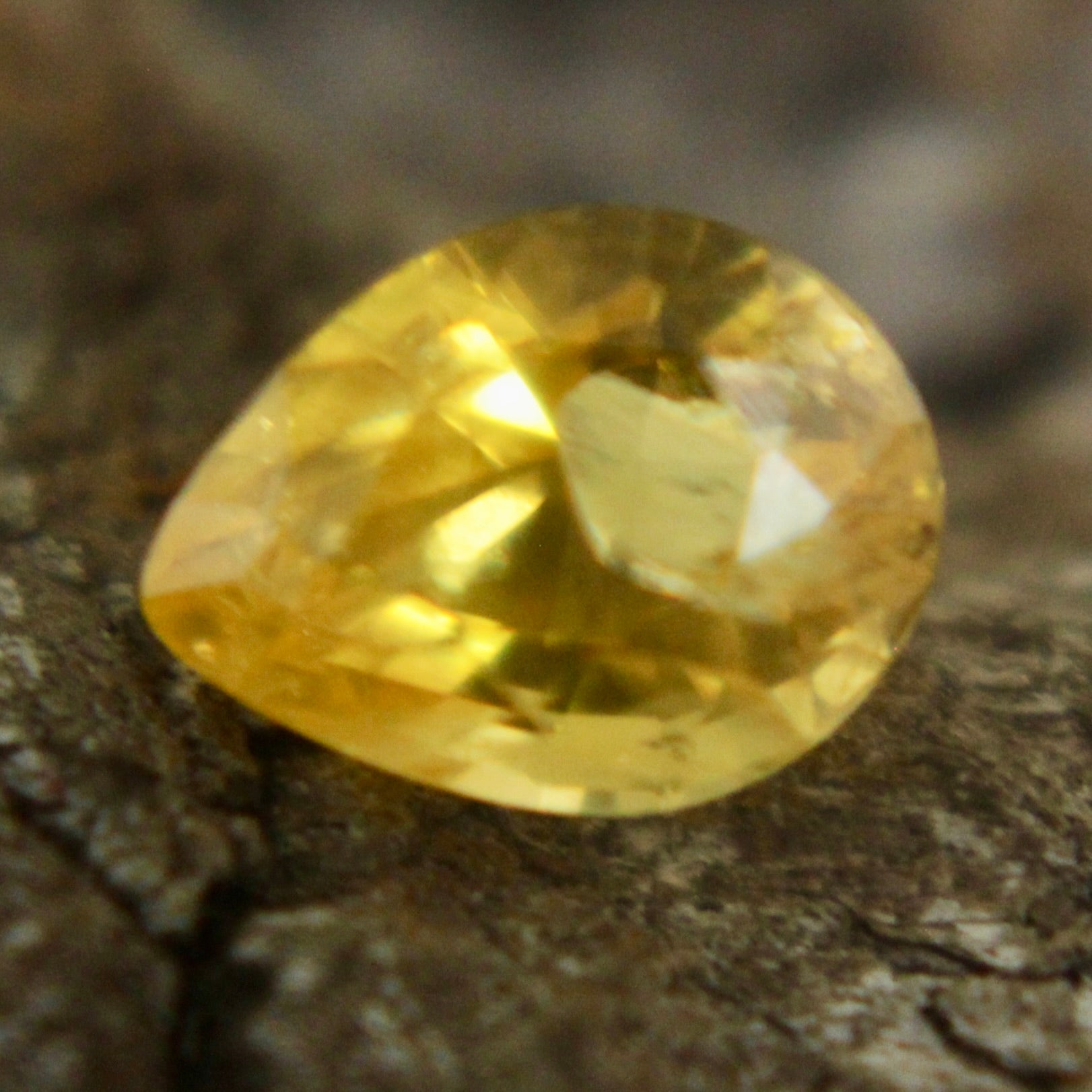 Natural Yellow Sapphire Sapphire Pal Australia