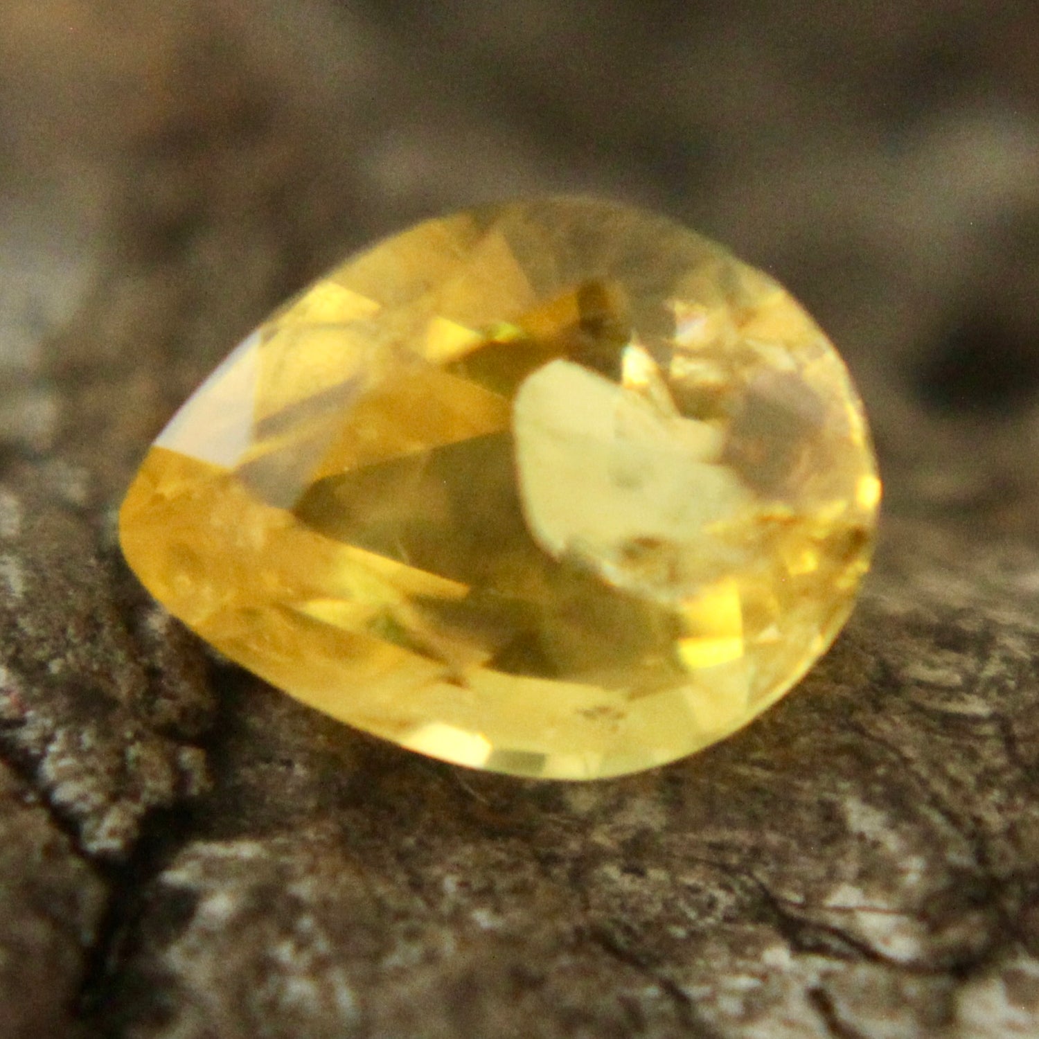 Natural Yellow Sapphire Sapphire Pal Australia