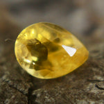 Natural Yellow Sapphire Sapphire Pal Australia