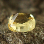 Natural Yellow Sapphire Sapphire Pal Australia