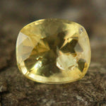 Natural Yellow Sapphire Sapphire Pal Australia