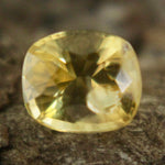 Natural Yellow Sapphire Sapphire Pal Australia