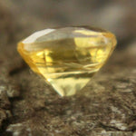 Natural Yellow Sapphire Sapphire Pal Australia