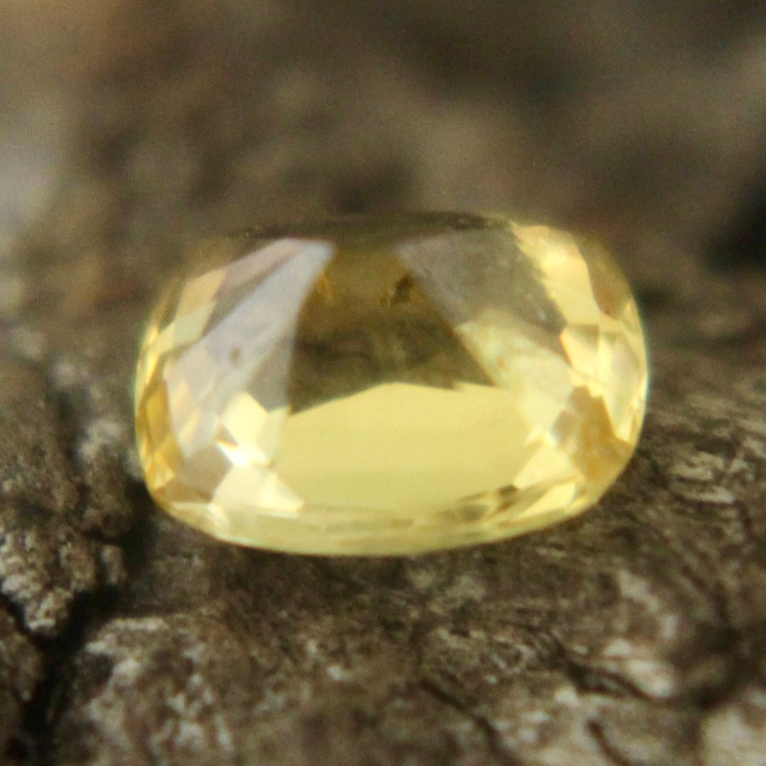 Natural Yellow Sapphire Sapphire Pal Australia