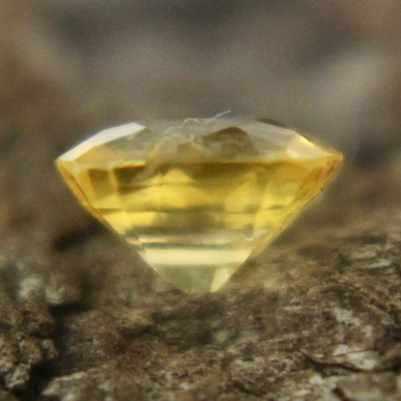 Natural Yellow Sapphire Sapphire Pal Australia