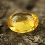 Natural Yellow Sapphire Sapphire Pal Australia