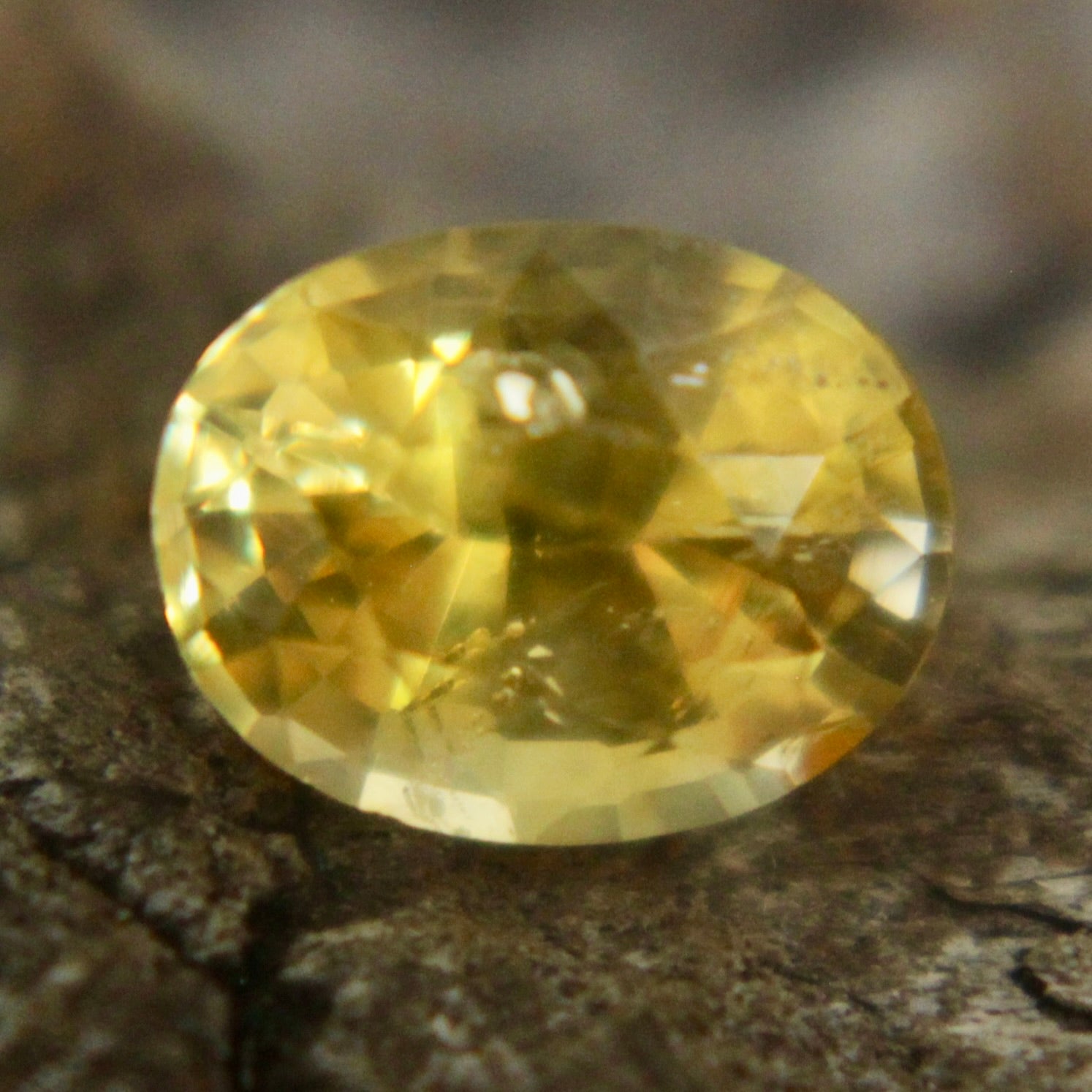 Natural Yellow Sapphire Sapphire Pal Australia