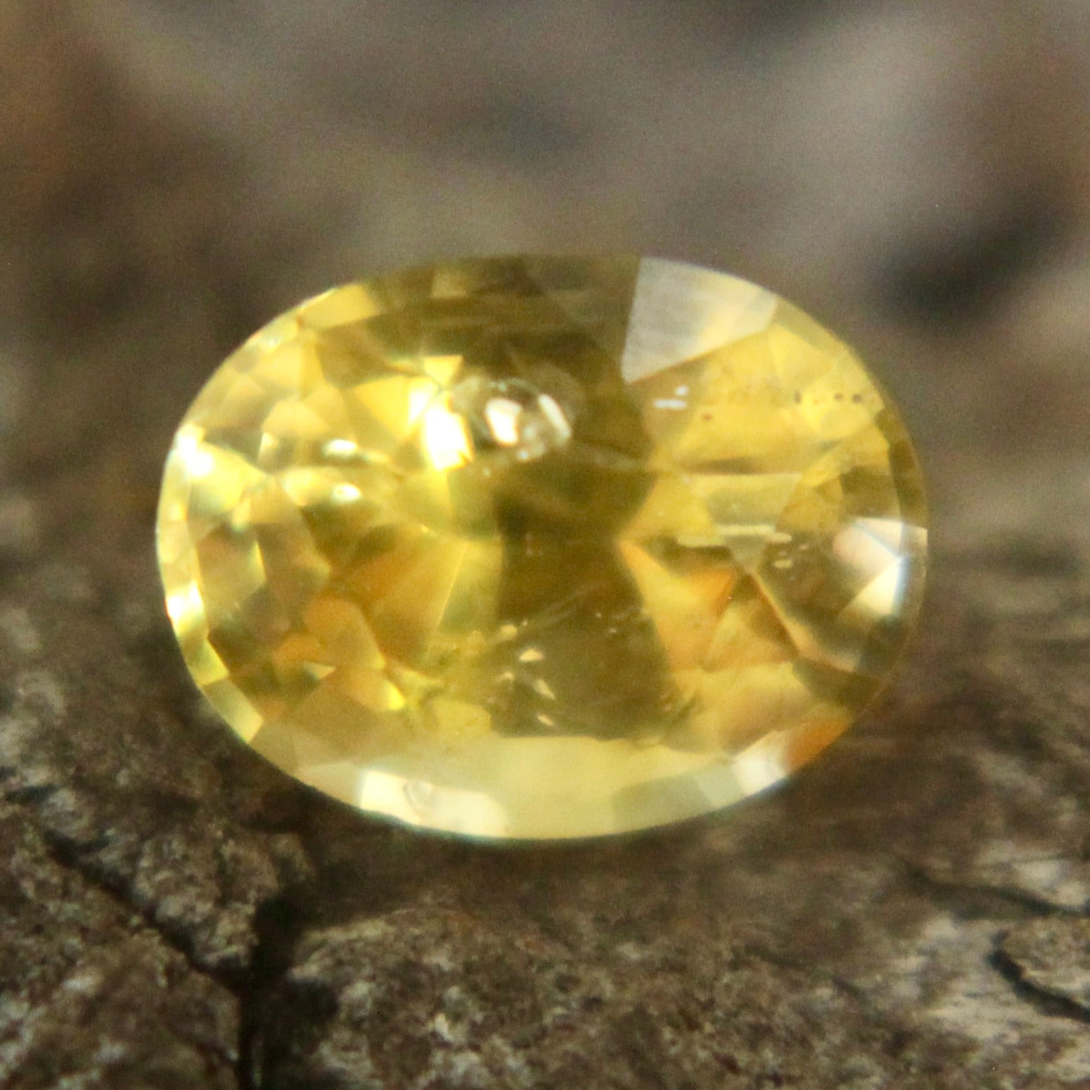 Natural Yellow Sapphire Sapphire Pal Australia