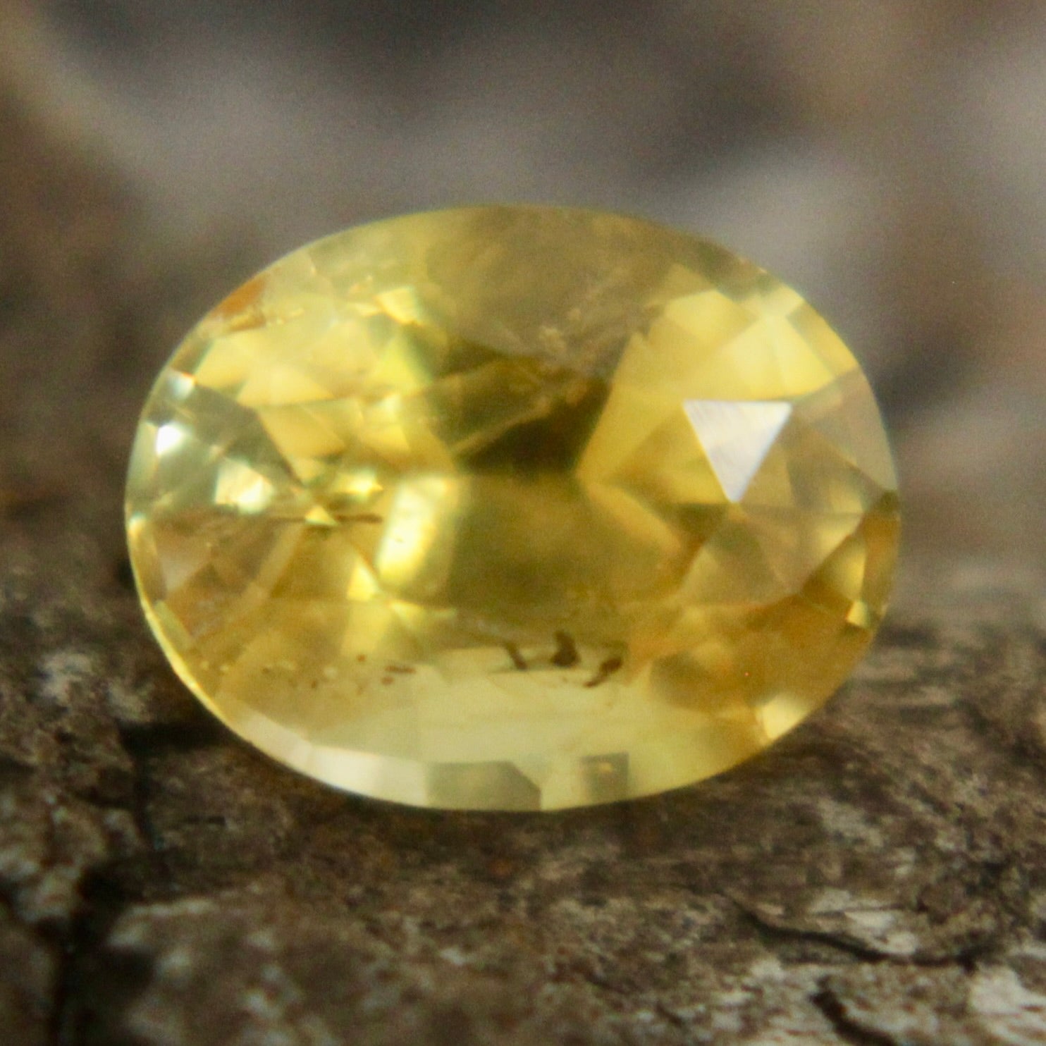 Natural Yellow Sapphire Sapphire Pal Australia