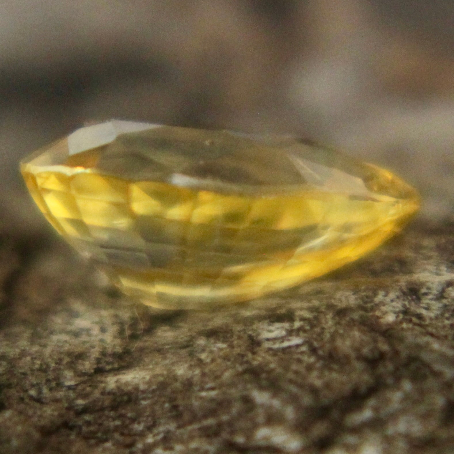 Natural Yellow Sapphire Sapphire Pal Australia