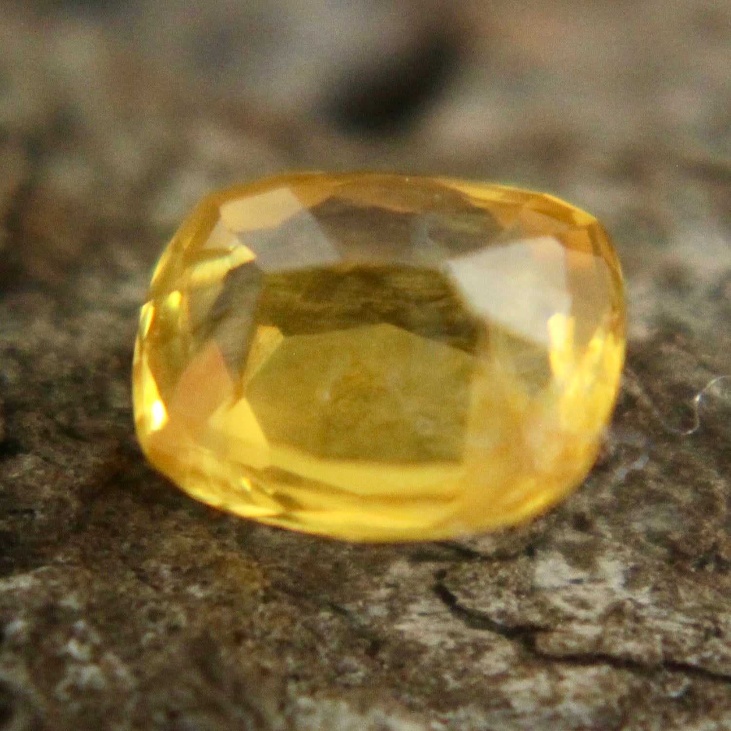 Natural Yellow Sapphire Sapphire Pal Australia