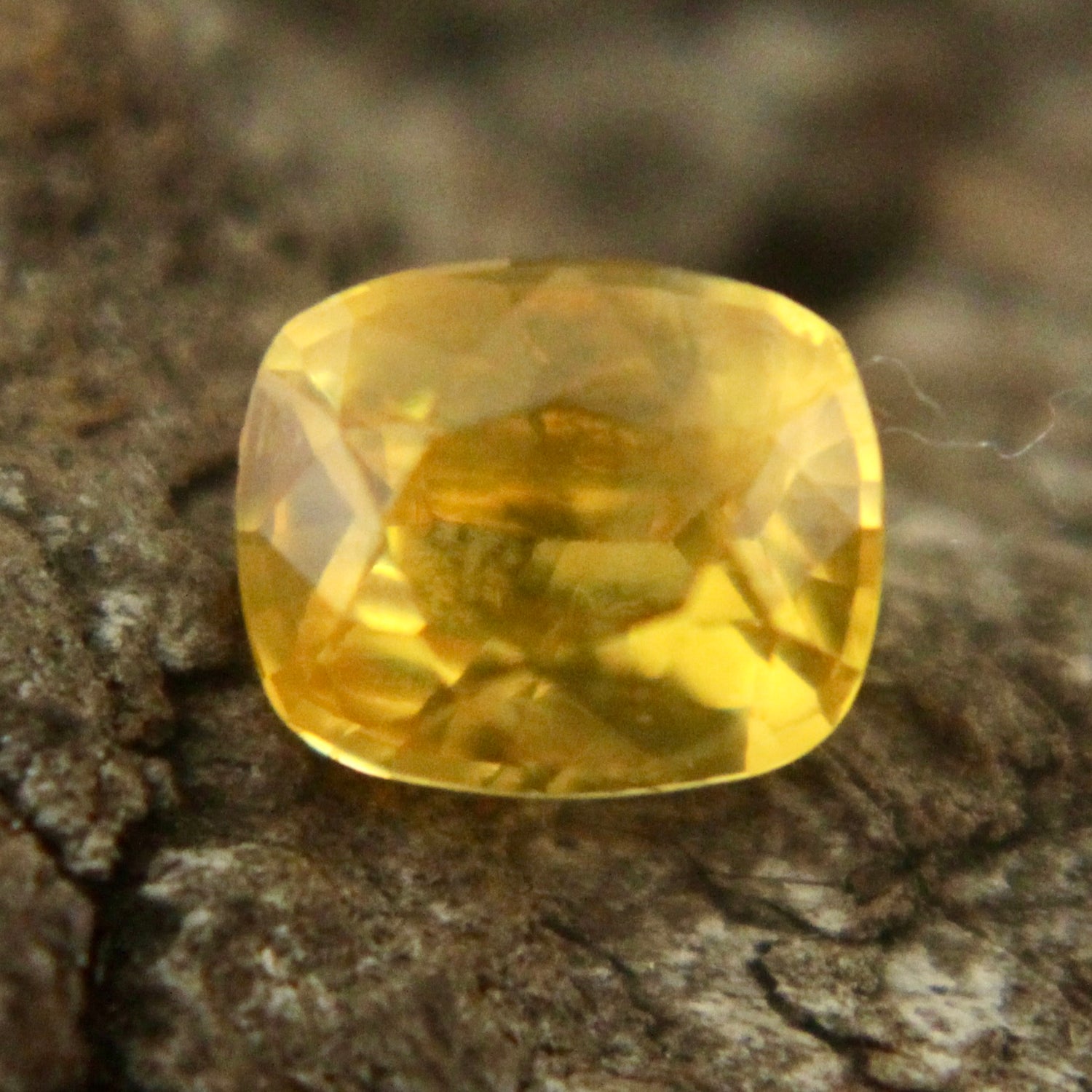 Natural Yellow Sapphire Sapphire Pal Australia