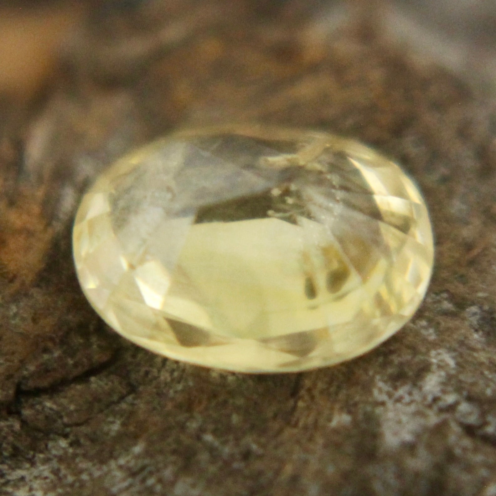 Natural Yellow Sapphire Sapphire Pal Australia