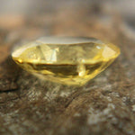 Natural Yellow Sapphire Sapphire Pal Australia