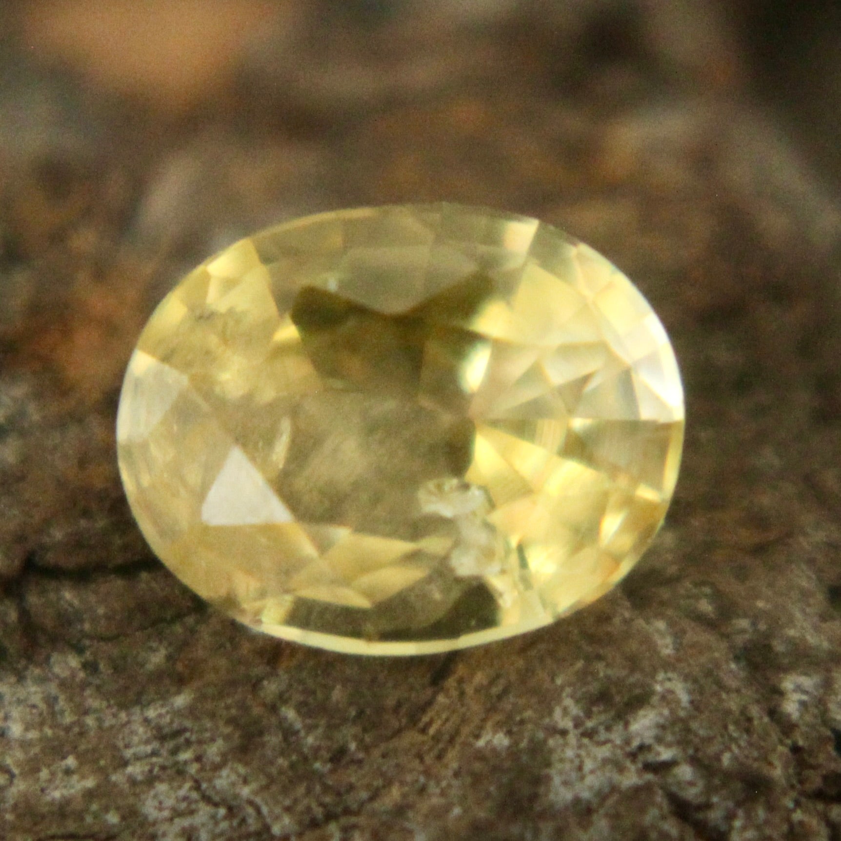 Natural Yellow Sapphire Sapphire Pal Australia